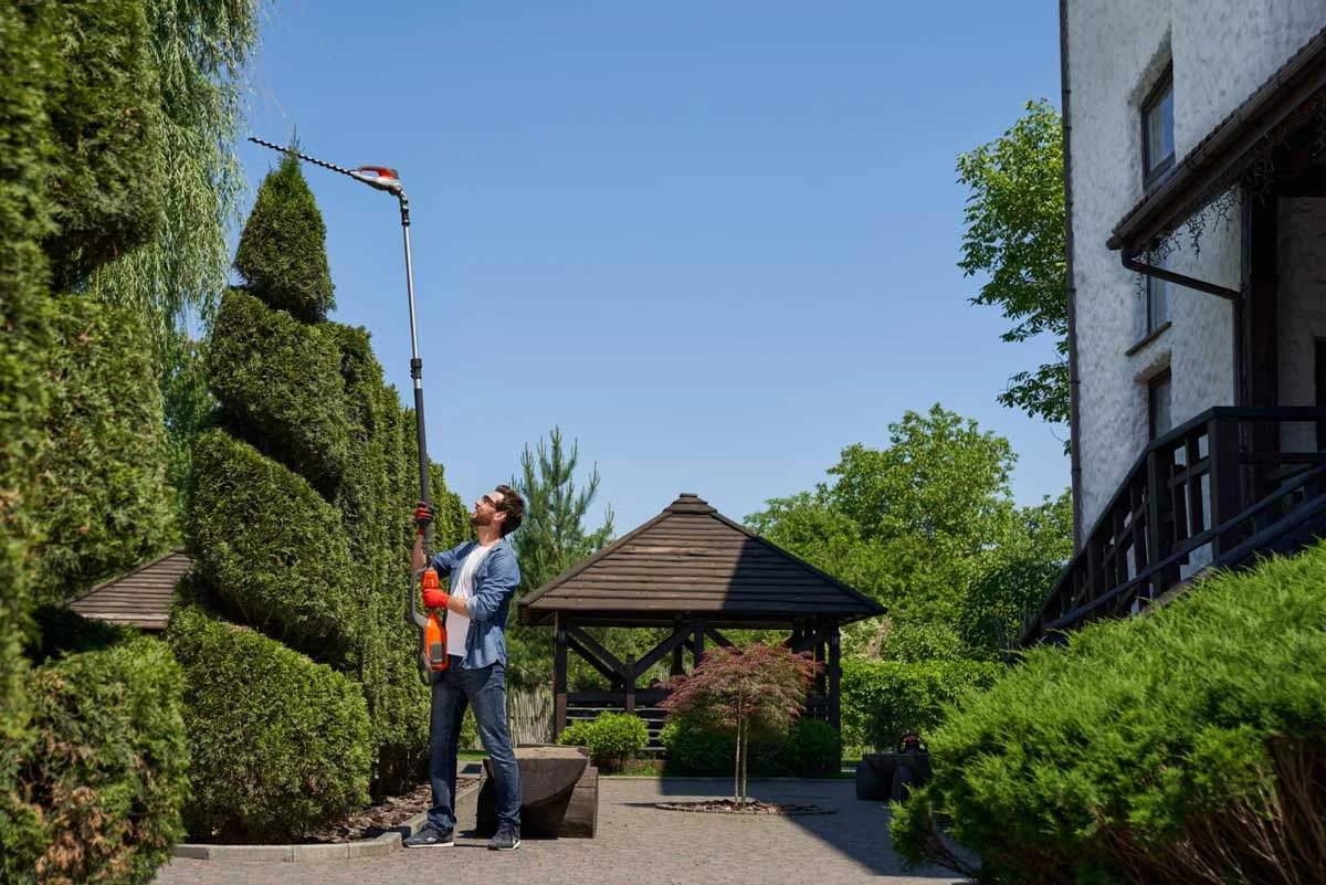 Tree Trimming