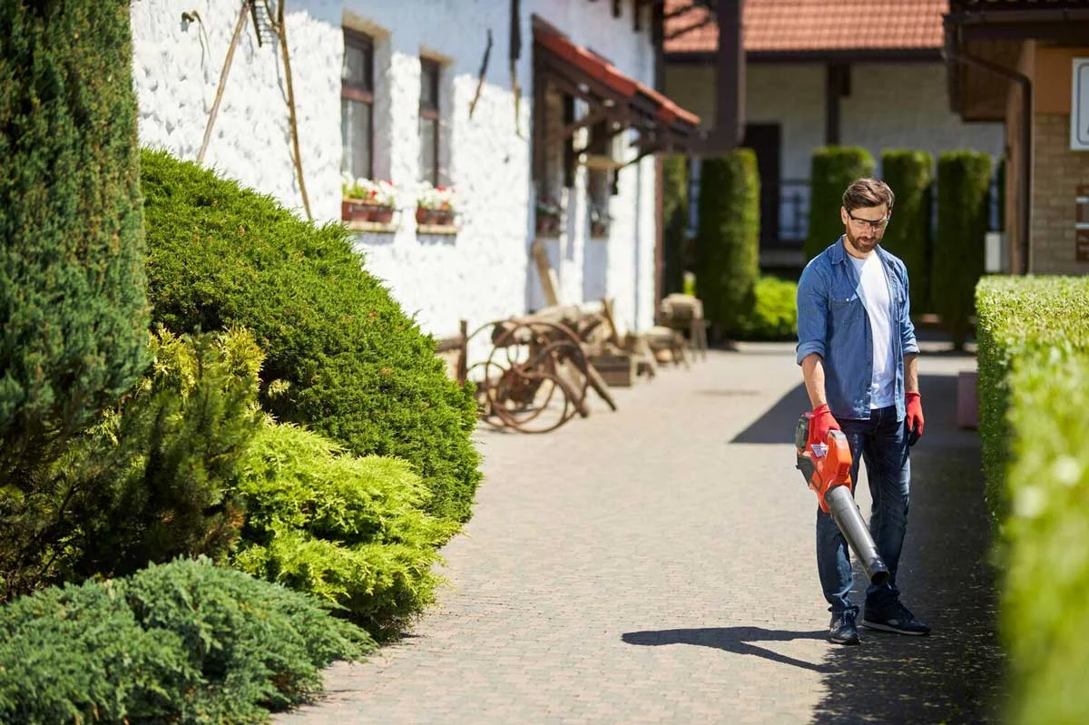 HOA Landscaping Maintenance & Upgrades
